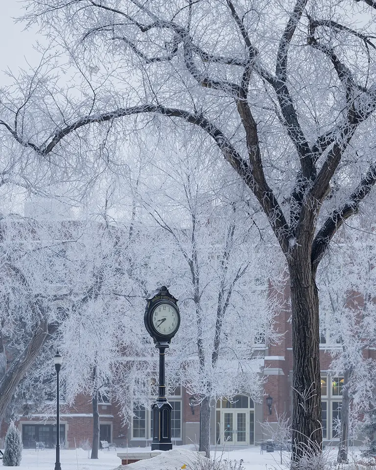 UND's clock keeps time amid a frost covered trees
