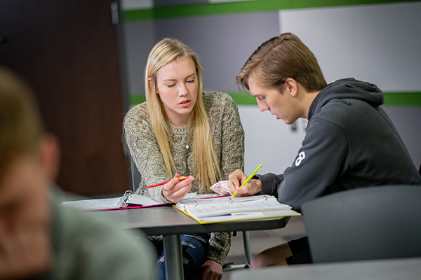 Tutoring a Student In-Person