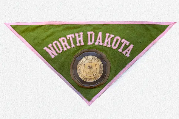 und pennant with green and pink