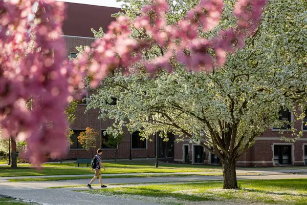 trees blooming on und campus in spring