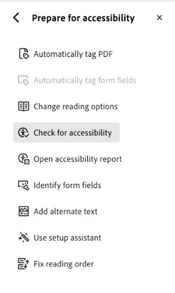 Screenshot of the Check for Accessibility option.