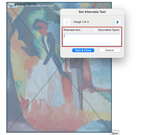 Screenshot of the text field box where you can enter alternative text.