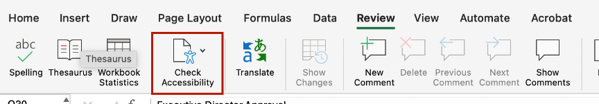 Screenshot of the Check Accessibility option. 