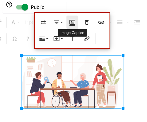 Screenshot of the Image Caption button in the Image Settings menu