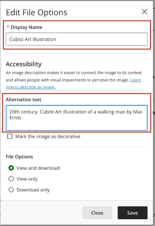 Alternative Text and Display Name Screenshot of the Edit File Options dialogue box and where to add the alternative text and display name.