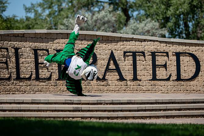 Fighting Hawk standing on one arm