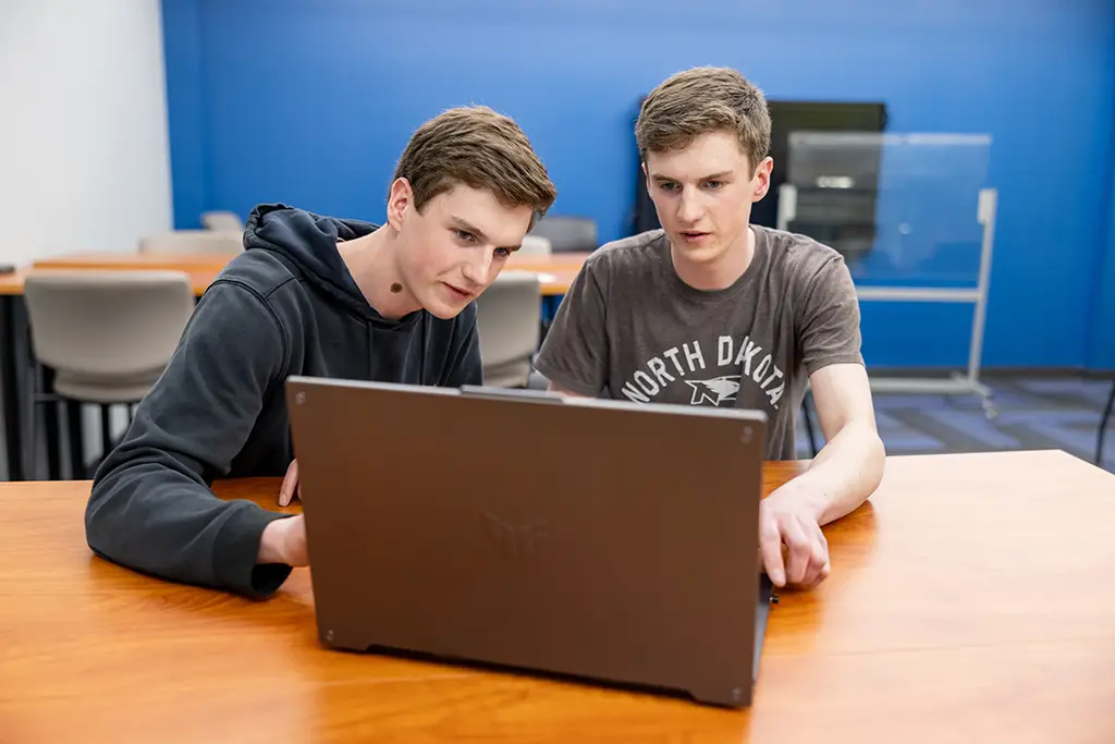 bergum twins working in lab