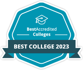 #17 Best Online Marketing Bachelor's Degrees