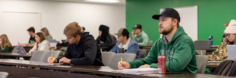 economics degree students in class