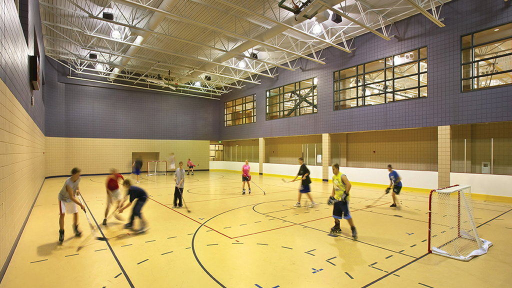 Multi-Activity Court