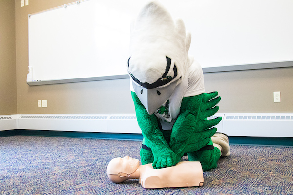 CPR First Aid CPR First Aid