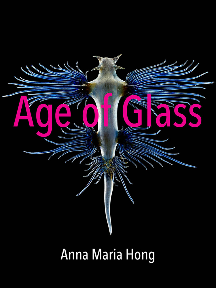 Cover thumbnail of Age of Glass, by Anna Maria Hong