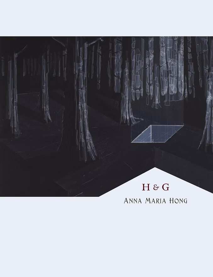 Cover thumbnail of H & G, by Anna Maria Hong